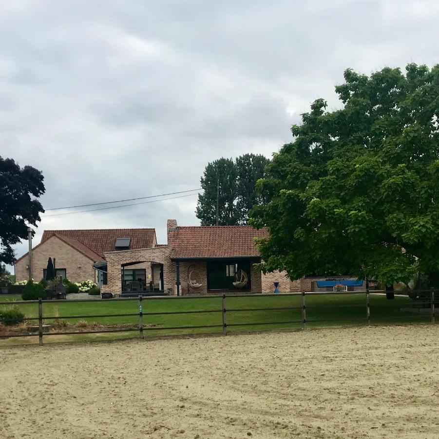 Een prachtige en luxueuze vakantiewoning dat is Hof Leskensdaele Geraardsbergen Buitenkant foto